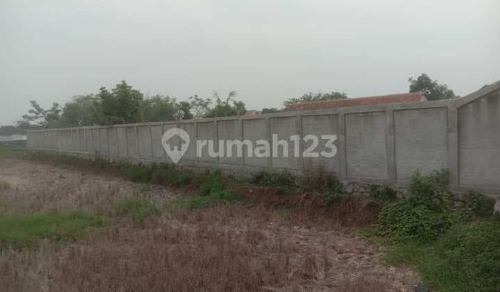 Dijual Cepat Tanah Kavling Rajeg Siap Bangun