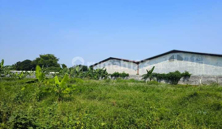 Dijual Cepat Tanah Kavling Cipondoh