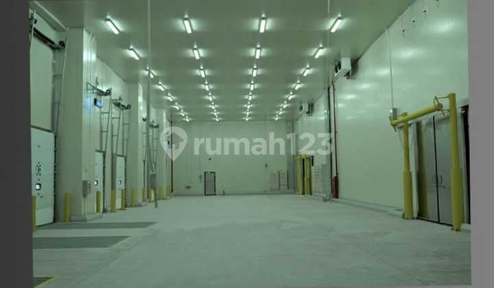 Disewakan Cepat Gudang Cold Storage Cibitung Siap Pakai