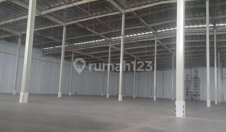 Disewakan Gudang Premium Cileungsi Siap Pakai