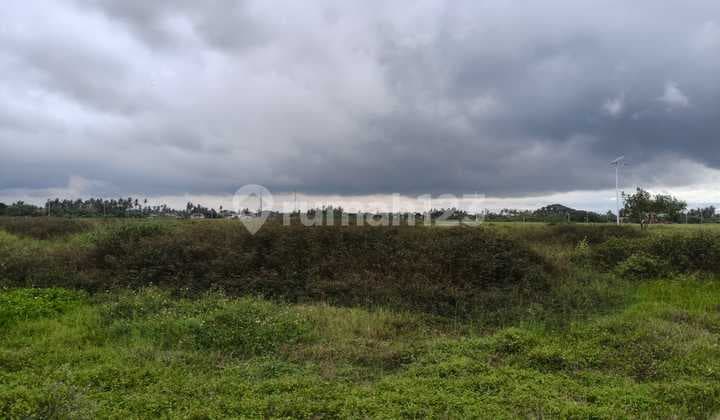 Dijual Cepat Tanah Benda Dibawah NJOP Siap Bangun