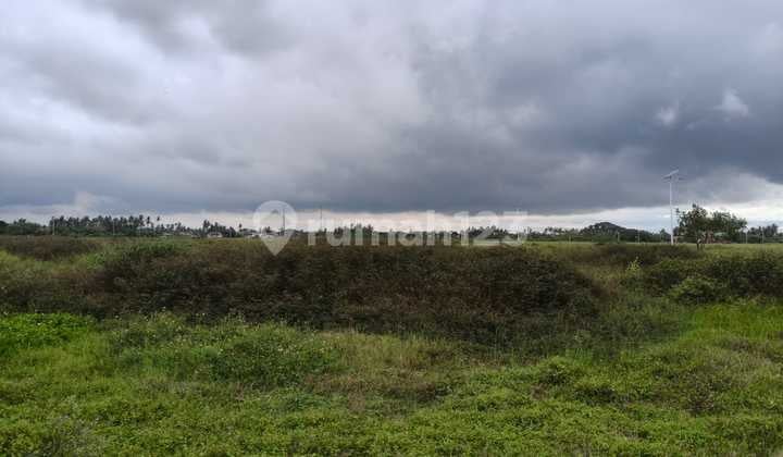 Dijual Cepat Tanah Benda Dibawah NJOP Siap Bangun