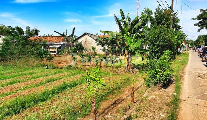 Dijual Kavling, SHM di Babelan-Bekasi