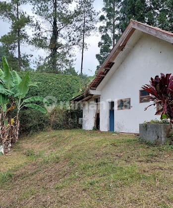 Jual Vila Cisarua Arah Taman Safari Indonesia Hitung Tanah Nya Aja