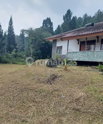 Culinary Plot Next to Pesona Alam Hotel, Taman Safari Cisarua