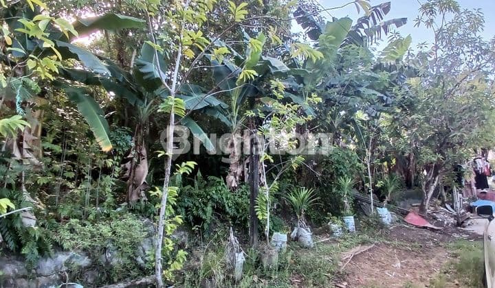 TANAH PINGGIR JALAN COR PERUMAHAN LOKASI STRATEGIS DALAM KOTA COCOK DIBUAT RUMAH TINGGAL, KONTRAKAN ATAU KOS KOSAN