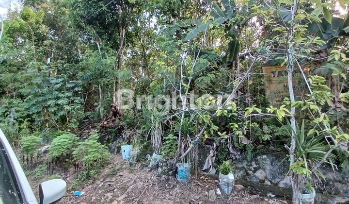 TANAH PINGGIR JALAN COR PERUMAHAN LOKASI STRATEGIS DALAM KOTA COCOK DIBUAT RUMAH TINGGAL, KONTRAKAN ATAU KOS KOSAN