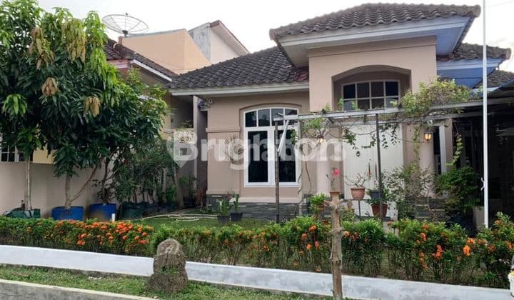 RUMAH FULLFURNISH TENGAH KOTA BERNUANSA MINIMALIS LOKASI DALAM PERUMAHAN BDI AMAN NYAMAN HARGA NEGO