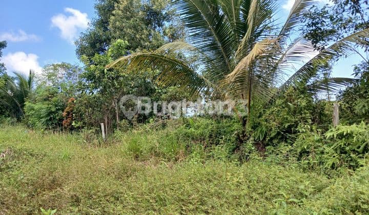 LAND/PLOT EXTENDING TO THE SEASIDE ALONG THE KARIANGAU MAIN ROAD, SUITABLE FOR FACTORY, WAREHOUSE, WORKSHOP, AND OTHER BUSINESSES, AS WELL AS A PORT FOR CARGO LOADING AND UNLOADING. NEGOTIABLE PRICE.
