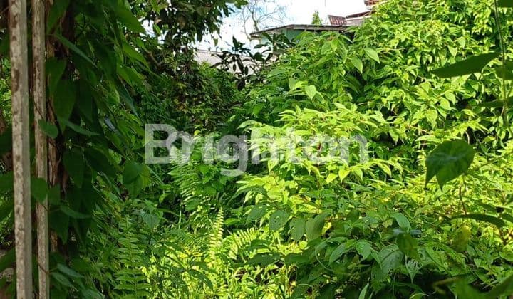 LAHAN DATAR DAN RATA SIAP BANGUN DI TUMARITIS