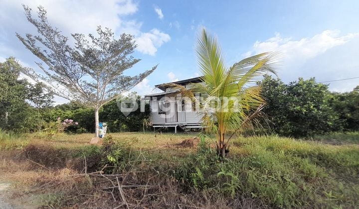 LAND/PROPERTY ON THE MAIN ROAD AT KILOMETER 13, SUITABLE FOR WAREHOUSE, WORKSHOP, AND OTHER BUSINESSES, NEGOTIABLE PRICE.