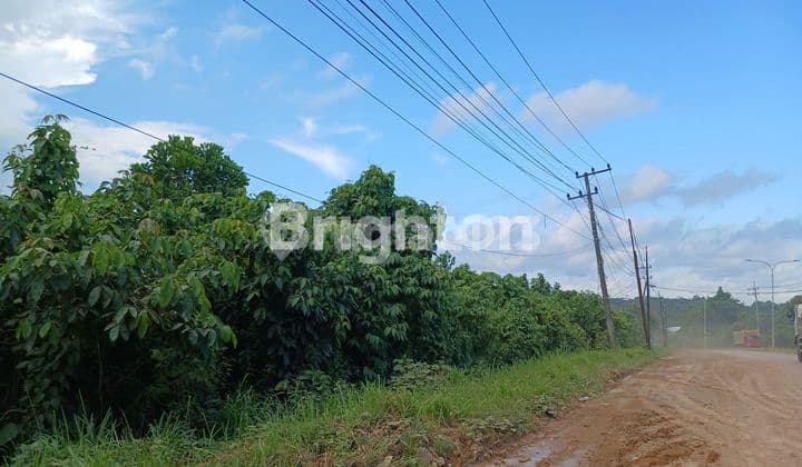 LAND/PROPERTY ON THE MAIN ROAD AT 13TH KILO, BALANG ISLAND SUITABLE FOR WAREHOUSE, FACTORY, WORKSHOP, AND BUSINESS.