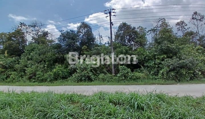 LAND/PROPERTY ON THE MAIN ROAD AT KILOMETER 13, PULAU BALANG, SUITABLE FOR BUILDING WAREHOUSES, WORKSHOPS, AND INDUSTRIAL FACILITIES.