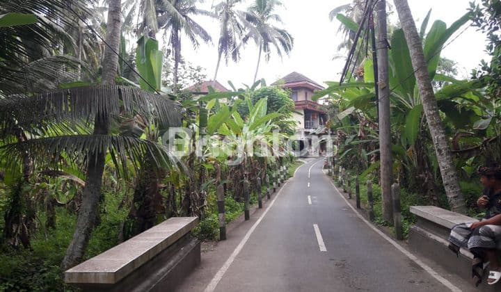 TANAH SANGAT COCOK UNTUK VILLA
