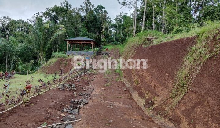 Investasi Tanah Agrowisata View Gunung Batukaru