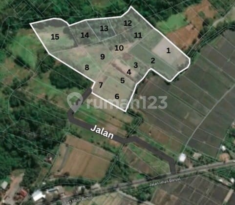 Dijual Tanah Luas 5 Hektar - Braban, Tanah Lot