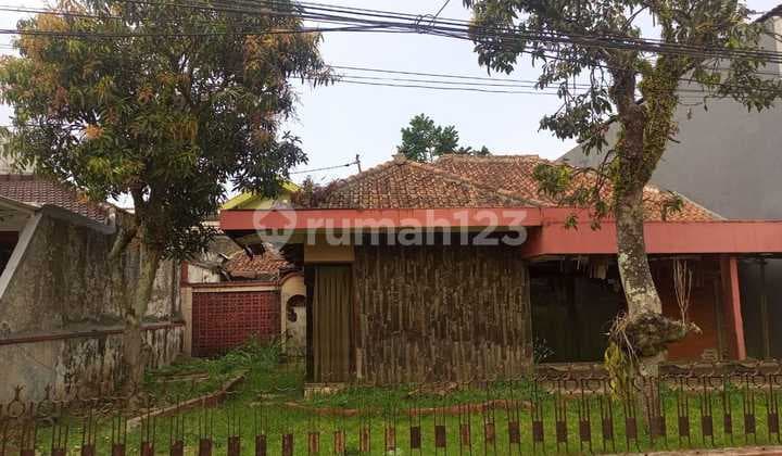 Tanah Matang Bentuk Kotak Jarang Ada Sayap Buah Batu Kota Bandung