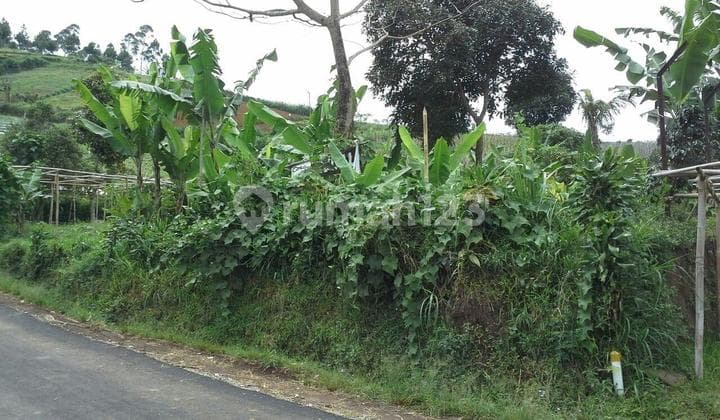 Land for sale in Lembang Bandung, roadside on the main street.