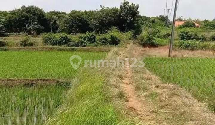 Kavling Kampung Jaringao, Pabuaran Subang Dekat Kawasan Industri