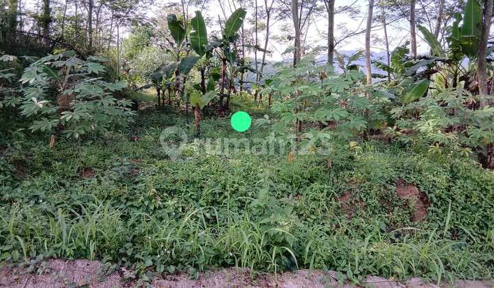 Wts / Dijual Cepat Kavling Siap Bangun dan Lokasi Strategis di Daerah Leuwiling, Bogor, Jawa Barat