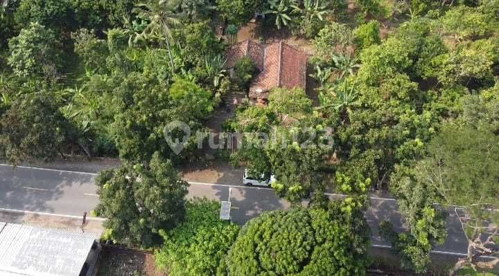 Tanah 17547 m2 jual SHM Rangkasbitung, Lebak
