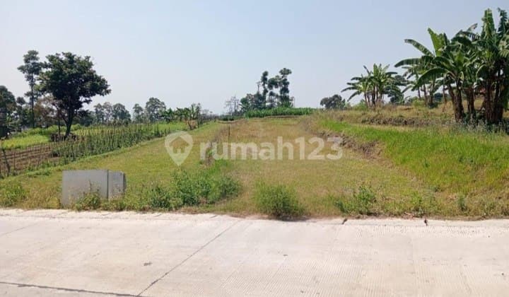 DIJUAL TANAH JALAN KETAPANRAME TRAWAS - JALAN COR