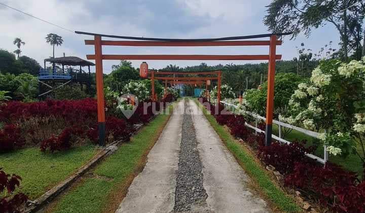 Tanah Tempat Pariwisata Summer Holiday Farm