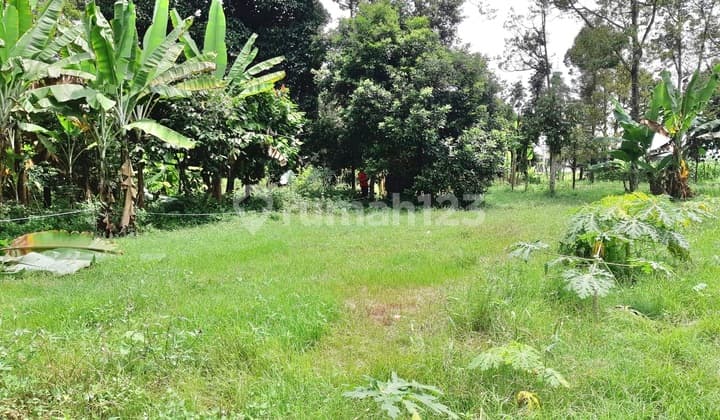 Tanah Pinggir Jalan Dipantai Cermin Serdang Bedagai