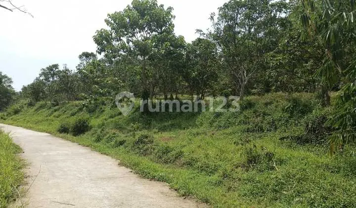 Dijual Cepat Tanah Strategis Siap Dibangun Di Bogor