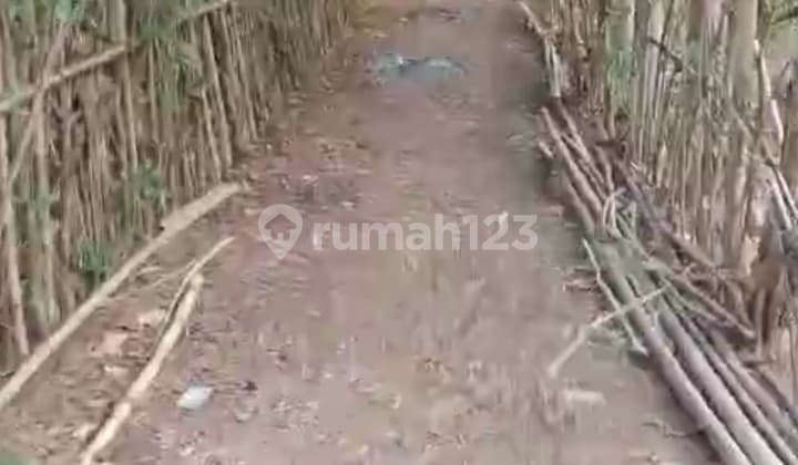 Tanah Cocok untuk Investasi Pasiranji Deltamas