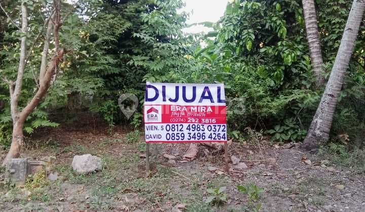 Tanah SHM Pekarangan Desa Patalan Jl. Parangtritis Bantul