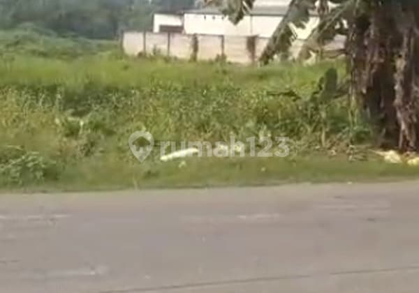 Tanah 2 Ha Di Tigaraksa Tangerang Lokasi Pinggir Jalan
