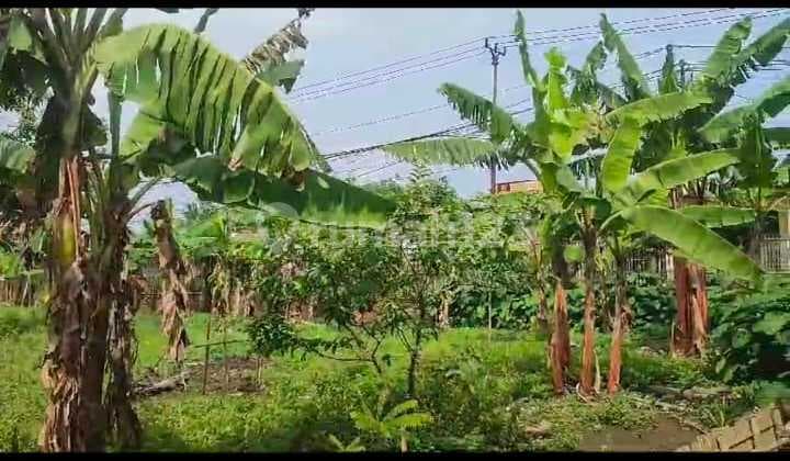 Dijual Tanah di Teluk Naga, Tangerang SHM 3.000 m²