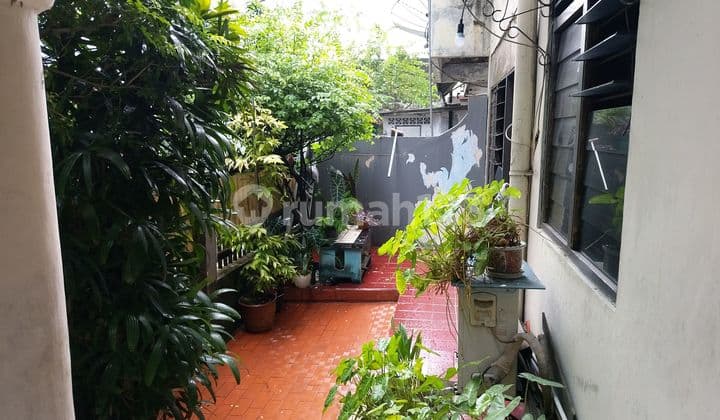 Large Mango Tree House on Main Road, 2 Floors