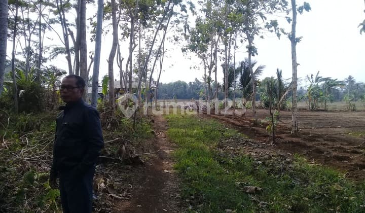 Tanah Luas 2,7 Hektar di Pinggir Jalan Surade Sukabumi