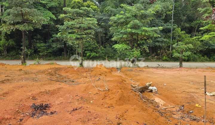 Kavling Nongsa. Murah. Pinggir Jalan Besar. Nongsa