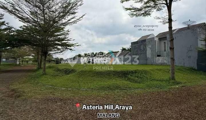 A Hook Plot of Land in the Asteria Hill Cluster, The Araya Malang