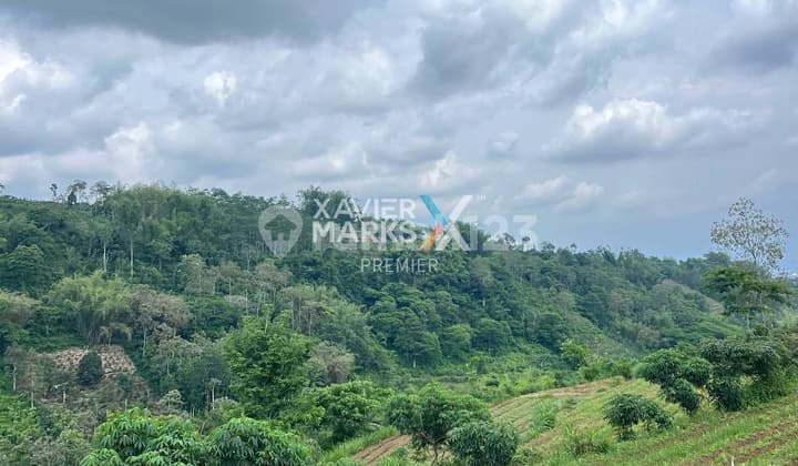 Dijual Cepat Tanah Lokasi di Jedong Wagir Kabupaten Malang