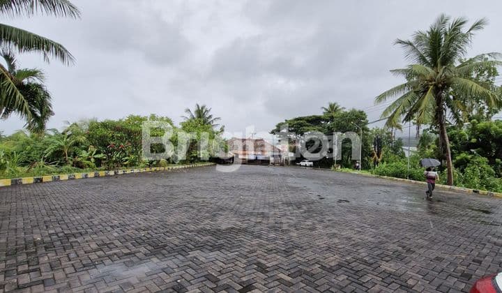 Tanah Agro Wisata di Lovina