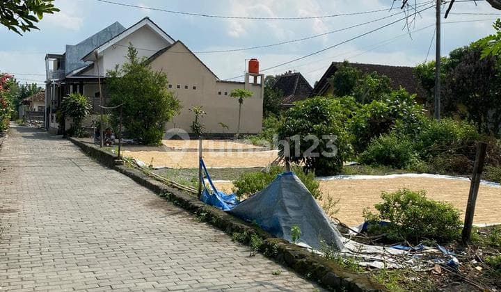 Cheap Land for Sale, Strategic Location, Facing the Road in Tirtomartani, Kalasan, Sleman, Yogyakarta
