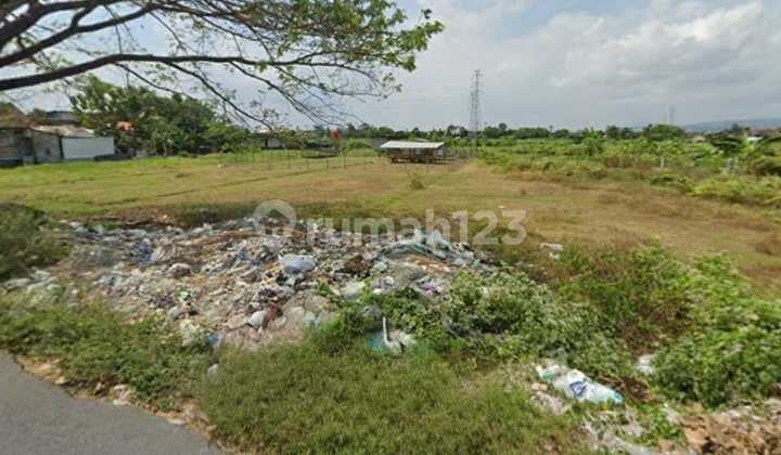 Tanah Luas Pekarangan Cocok untuk Perumahan di Banguntapan Bantul Yogyakarta