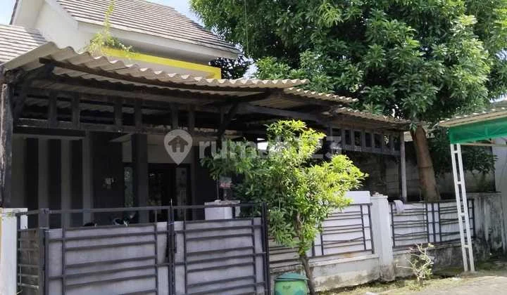 Rumah Wonorejo Rungkut Surabaya Jual Cepat Rumah Wonorejo Rungkut Surabaya Jual Cepat