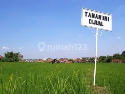 Kavling Citraland Utama Main Road Dalam Cluster
