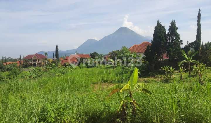 Kavling Kawasan Elite Bukit Trawas Garden - View Gunung