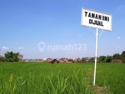 Rumah Hitung Tanah Rungkut Mejoyo Row Jalan Lebar