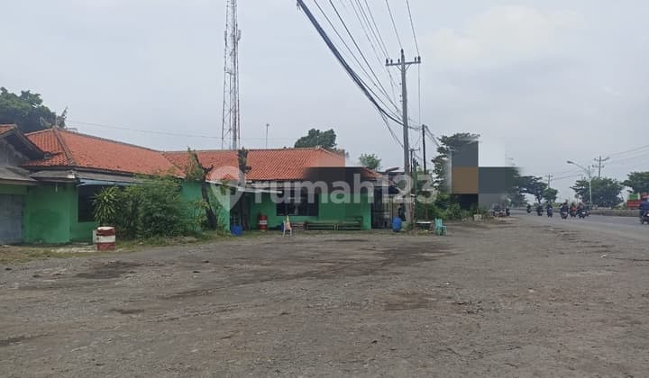 TANAH PADAT MAINROAD PANTURA BREBES