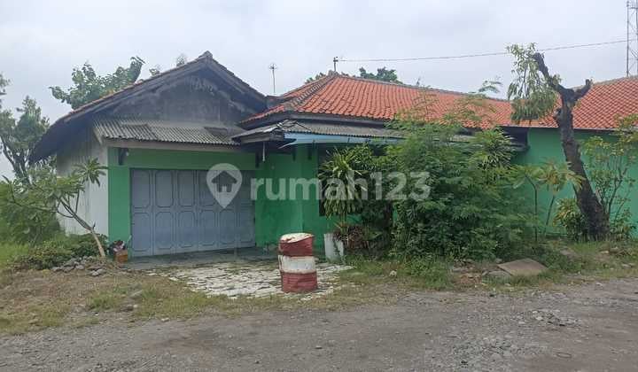 Jual Tanah Padat Di Mainroad Pantura Losari Brebes