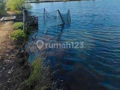 Dijual Murah 13.6 Ha Tambak Udang dan Bandeng di Jabon Sidoarjo