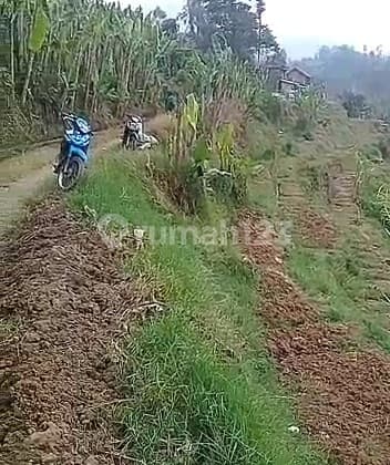 Tanah Bisa Dijadikan Villa di Ciwidey Bandung