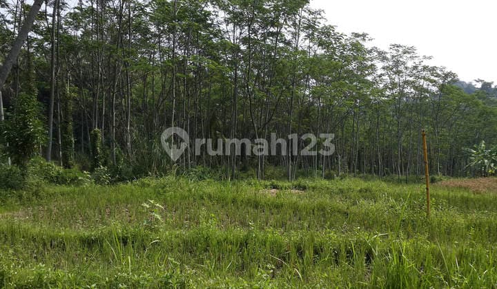 Tanah Luas di Citatah, Padalarang Bandung